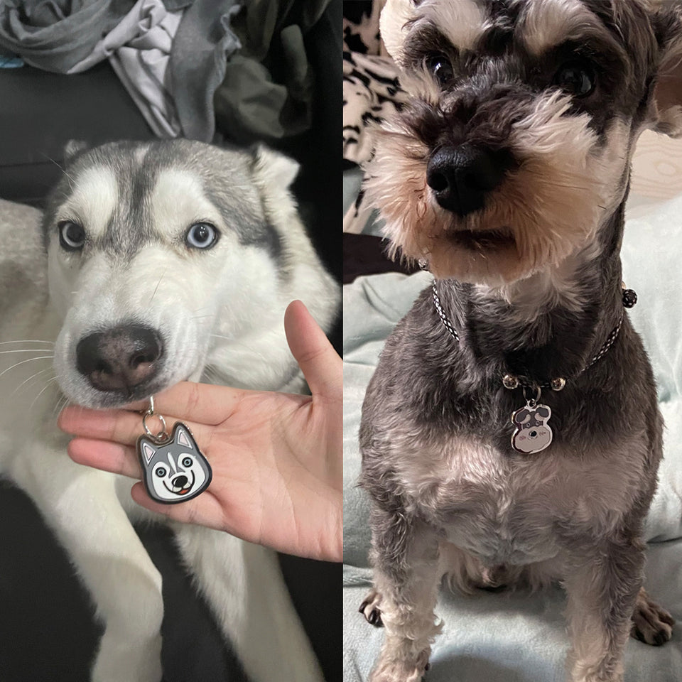 Fashion Personality Bell Pet Custom Nameplate